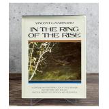 In the Ring of the Rise