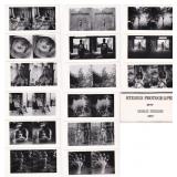 Charles Swedlund Stereoviews Stereo Photographs