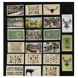 Group of Texas Taxidermy Postcards