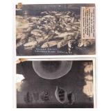 Salvador Dali Museum RPPC Postcards