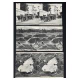 Collection of Double Sided Stereoviews