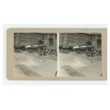 Ambassador Hotel California Pool Stereoview