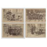 Flemish Milkmaids Dog Milk Cart Photos