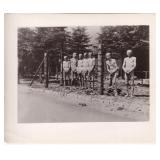 WW2 Dachau Concentration Camp Survivors Photo