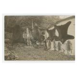 Professional Hunter Trapper RPPC Postcard