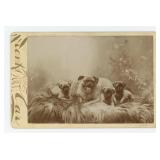 Queen the Pug and Her Puppies Cabinet Photo