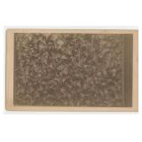 Frost on Glass Science Snowflake Cabinet Photo