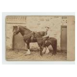 Occupational Draft Horse Breeder Cabinet Photo