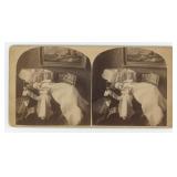 Post Mortem Baby Stereoview