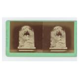 Skeleton Leaves Lovejoy & Foster Stereoview