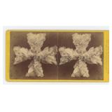 John Soule Skeleton Leaves Post Mortem Stereoview