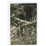 Blow Gun Jungle Hunting RPPC Postcard