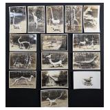 Wreckage Zoo Ocean Park Washington RPPC Postcards