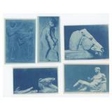 Cyanotype Parthenon Sculpture Photos