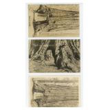 Galen Clark Yosemite RPPC Postcards