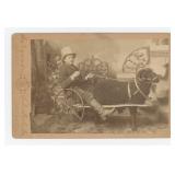 Boy Posing in Wagon Pulled by Goat Cabinet Photo