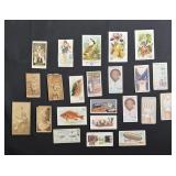 Collection of Assorted Tobacco Cards