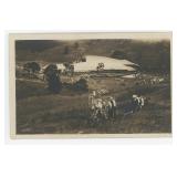 USS Shenandoah Wreckage RPPC Postcard