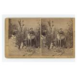 Mrs Maxwell Rocky Mountain Museum Stereoview