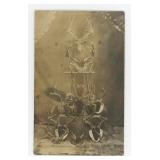 Taxidermy Deer Horn Mounts RPPC Postcard