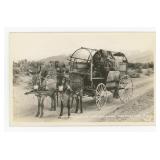 Arizona Prospector Mule Wagon RPPC Postcard