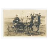 Chicago Illinois Elk Drawn Buggy RPPC Postcard