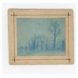 Cyanotype Cabinet Photo Trees in the Fog