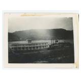 Frenchs New Sensation Showboat Photo