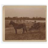 Florence Illinois Ghost Town Horse Carriage Photo