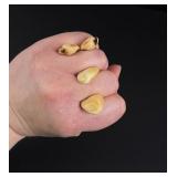 Montana Bull Elk Teeth