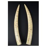 Happy Jack Angokwazhuk Scrimshaw Walrus Tusks