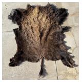 Taxidermy Alaskan Buffalo Hide Robe Rug