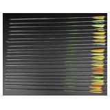 Gold Tip XT Hunter Graphite Archery Arrows