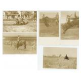 Collection of Doubleday Rodeo RPPC Postcards
