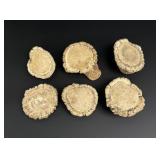 Elk Antler Rosettes