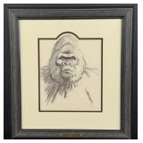 Sheridan Oman Gorilla Drawing