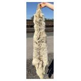 Montana Taxidermy Coyote Pelt Hide