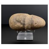 Ancient Native American Stone War Club