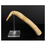 Montana Crow Indian Elk Horn Hide Scraper
