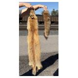 Montana Taxidermy Red Fox Hide Pelt