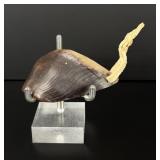 Gros Ventre Native American Indian Horn Spoon