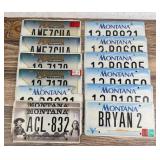 Collection of Montana License Plates