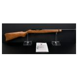 Ruger 10/22 Carbine .22 LR Rifle