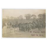Livestock Auction RPPC Postcard