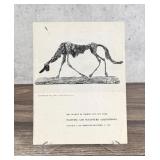 1958 The Museum of Modern Art Acquisition Catalog