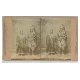 W.R. Cross Crazy Bear Pine Ridge Stereoview
