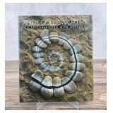 Andy Goldsworthy A Collaboration with Nature