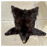 Montana Taxidermy Black Bear Rug