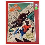 Treasure Chest Comic Book- Apr. 1966, Vol. 21