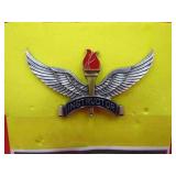 Vintage USAF US Air Force Training Instructor Pin